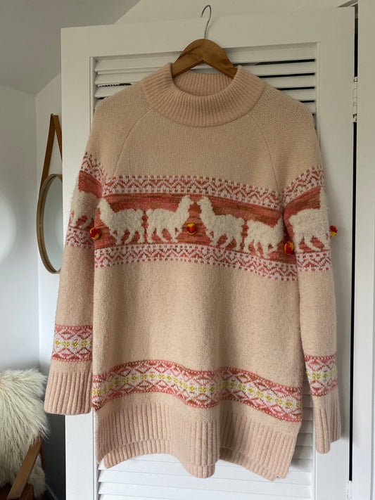 Anthropologie sweater, 10