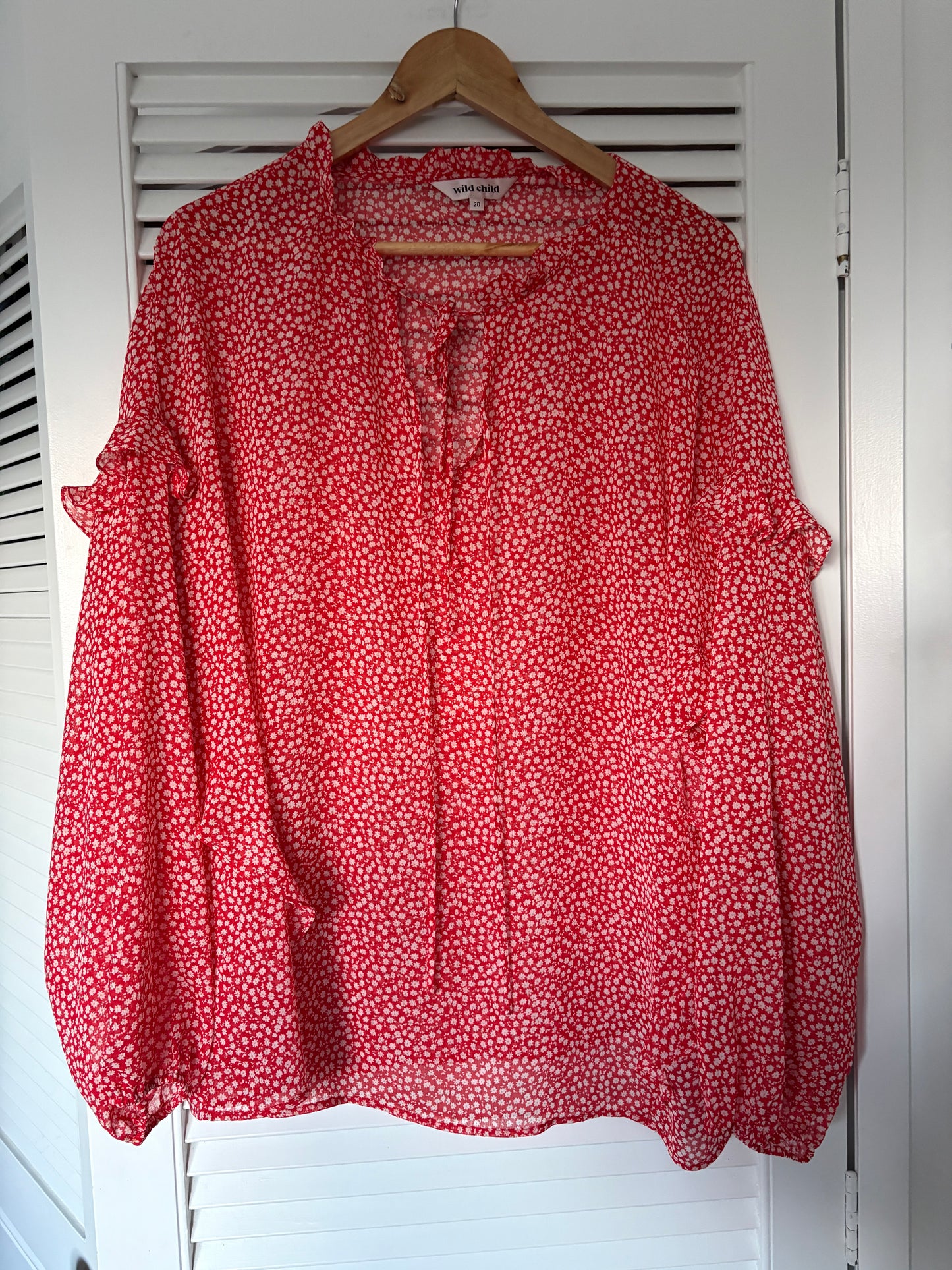 Wild Child sheer top, 20