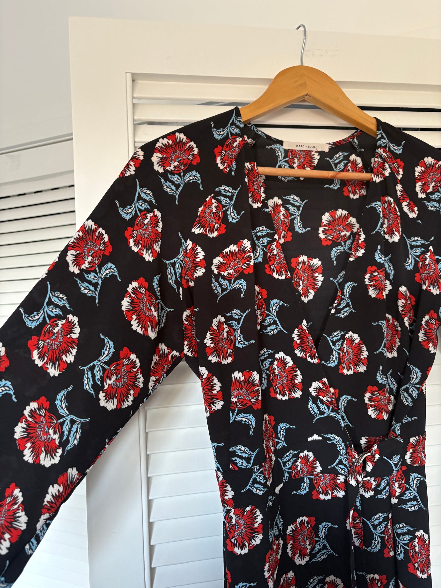 ISAAC + LULU dress, 8-10